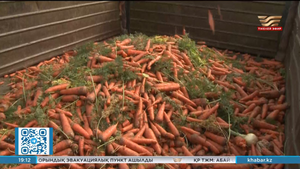 Қазақстандықтар жасанды органикалық өнімдерден қорғалатын болады