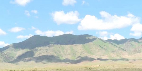 35 тыс. гектаров земли вернули в госсобственность в Алматинской области