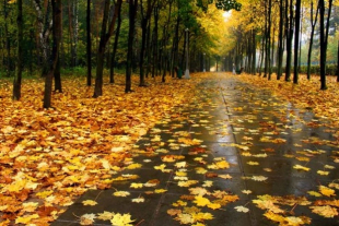 В Казахстане сохранится пасмурная погода с осадками