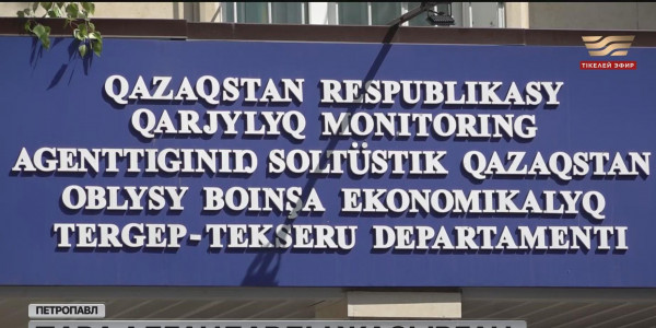 СҚО-да экономикалық тергеу қызметінің бұрынғы қызметкері ұсталды