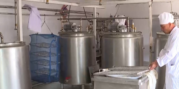 Курт на любой вкус изготавливает житель Каркаралинска