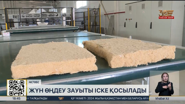 Ақтөбеде жүн өңдеу зауыты іске қосылады