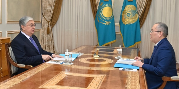 Президент Қаржылық мониторинг агенттігінің төрағасы Жанат Элимановты қабылдады