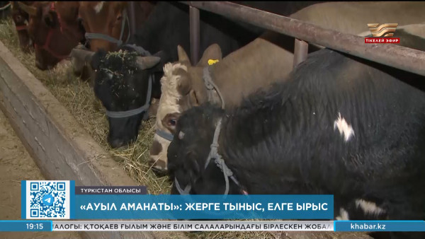 &laquo;Ауыл аманаты&raquo; бағдарламасы Түркістан облысында жүзеге асырылып жатыр
