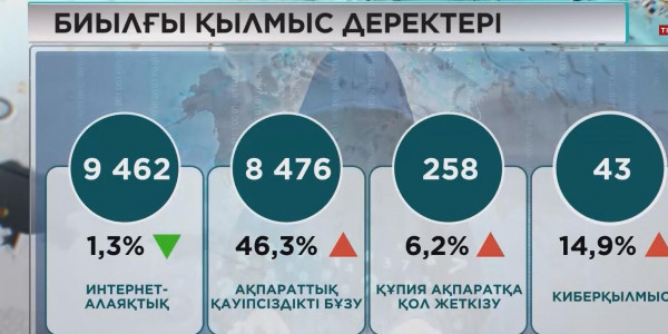 Елде киберқылмыс саны көбейді