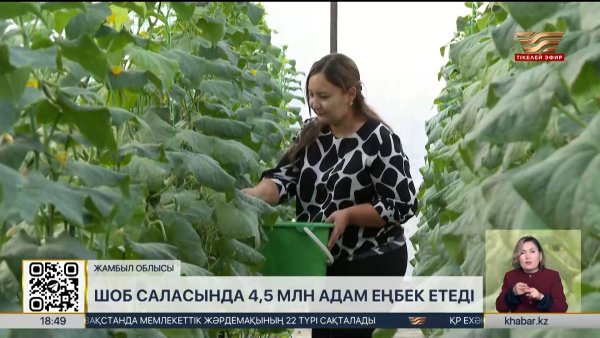 Шағын және орта бизнес саласында 4,5 млн адам еңбек етеді