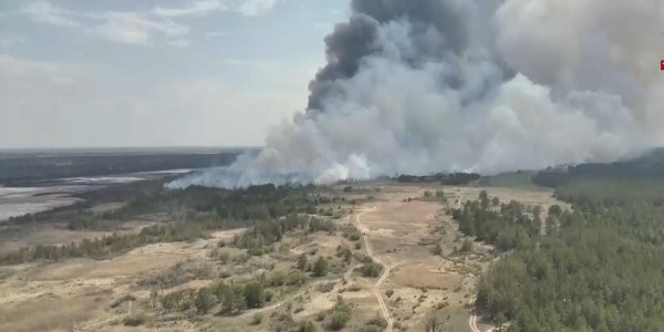 Абай облысында қарағайлы орман өртеніп жатыр