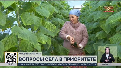 Малый и средний бизнес активно развивают в селах Актюбинской области