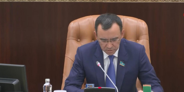 Сенат ТМД-да жалған тауар белгілерінің жолын кесуге қатысты заңды мақұлдады