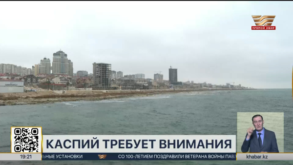Правительство выделило ₸1,1 млрд на сохранение Каспия