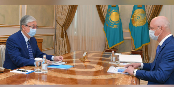 Мемлекет басшысы Премьер-Министрдің орынбасары Роман Склярды қабылдады