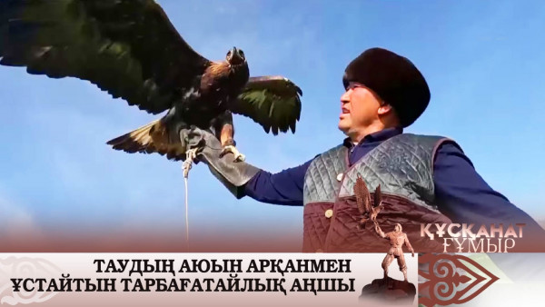 Таудың аюын  арқанмен ұстайтын тарбағатайлық аңшы. &laquo;Құсқанат ғұмыр&raquo;