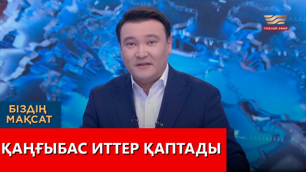 Қаңғыбас иттер қаптады. &laquo;Біздің мақсат&raquo;