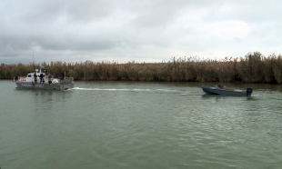 В Атырауской области браконьеры напали на полицейских