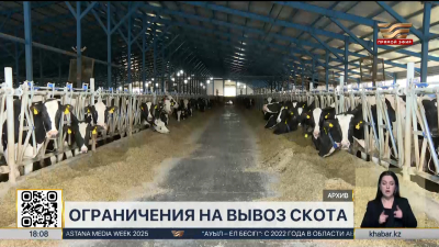 Казахстан продлил ограничения на вывоз бычков, овец и коз