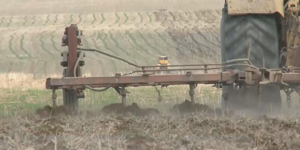 Шаруалар субсидия жарияланған кезде техниканың қымбаттап кететініне алаңдаулы