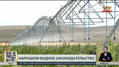 Свыше 140 нарушений водного законодательства зарегистрировали в РК