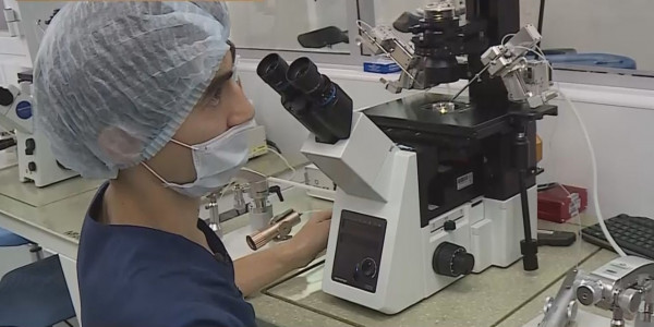 &laquo;Аңсаған сәби&raquo;: квоты на ЭКО увеличат в 7 раз