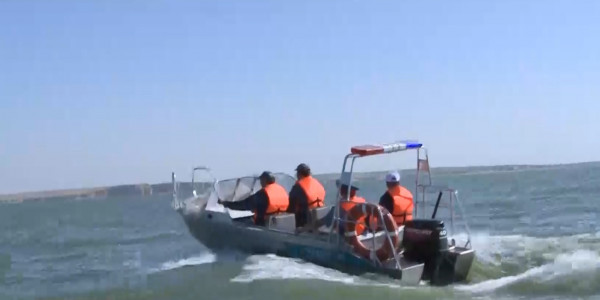 Шардара су қоймасында браконьерлерге қарсы күрес қалай жүргізіліп жатыр?