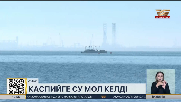 Биыл Ақтауда Каспий жағалауына су мол келді