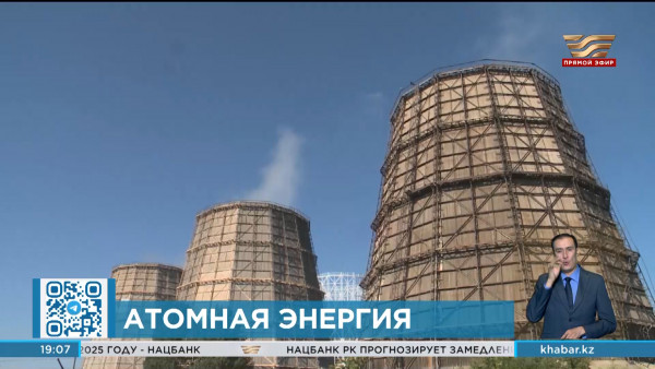 Постановление о проведении референдума по строительству АЭС приняли в Правительстве