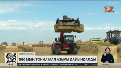 Ұлытау облысында 560 мың тонна мал азығы дайындалды