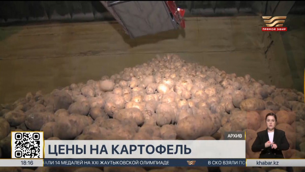 Цены на картофель прокомментировали в Минторговли РК