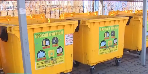 Штрафовать за не сортировку мусора предложили экологи