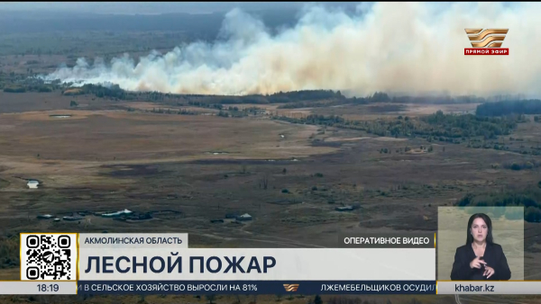 Лесной пожар локализовали в Акмолинской области