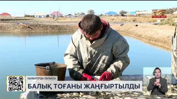 Қызылорда облысында Басықара балық тоғаны жаңғыртылды