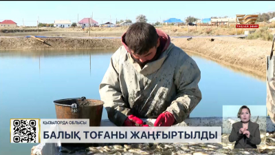 Қызылорда облысында Басықара балық тоғаны жаңғыртылды