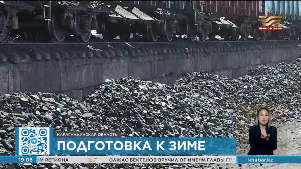 Подготовка к зиме: жителей призывают закупать уголь до прихода холодов