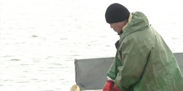 Полиция возбудила два уголовных дела по факту массовой гибели рыбы