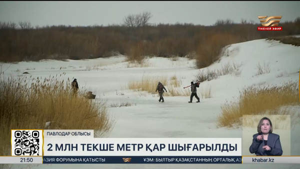 Павлодар облысында 2 млн текше метр қар шығарылды