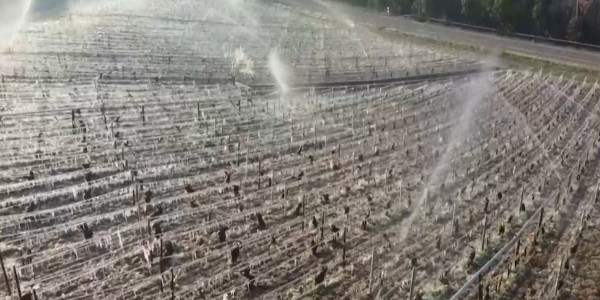 Францию ждут ограничения из-за засухи после самой сухой зимы за более чем 60 лет