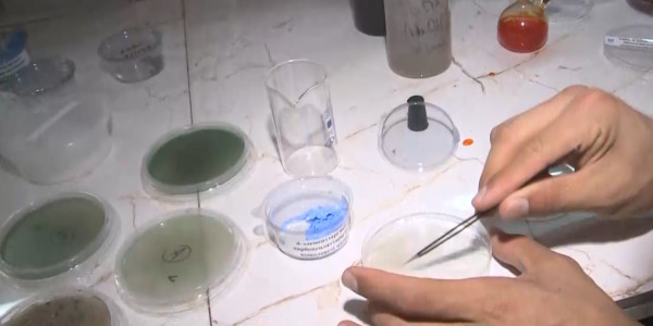 Биоразлагаемый полиэтилен разработал ученый из Усть-Каменогорска