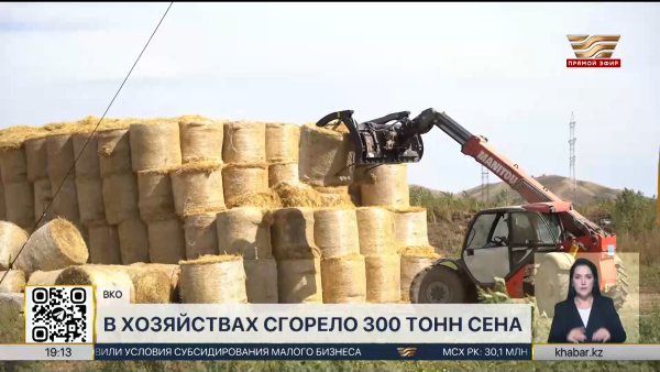 Более 300 тонн сена сгорело в фермерских хозяйствах ВКО