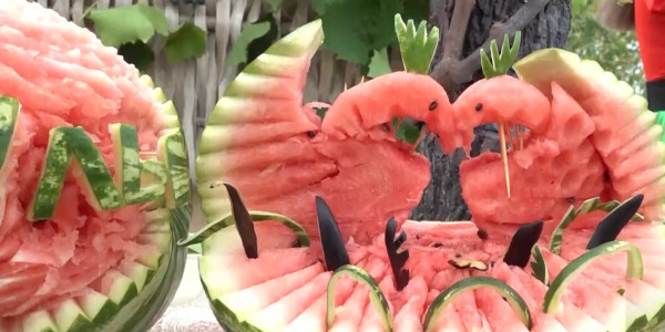 Павлодарские бахчеводы продемонстрировали урожай на арбузном фестивале