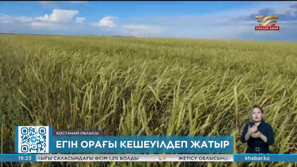 Қостанай облысында егін орағы кешеуілдеп жатыр