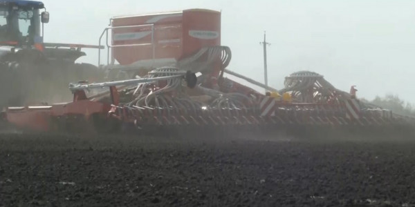 СҚО шаруалары субсидия ала алмай жүр