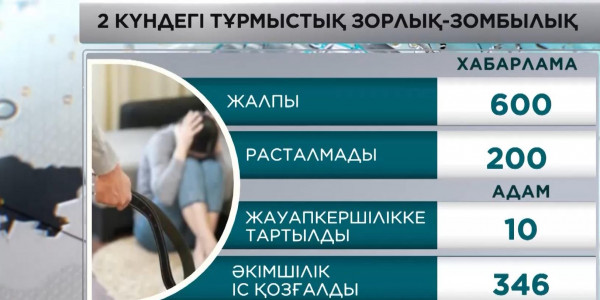 Енді тұрмыстық зорлық-зомбылық ісі полицияға өтініш жазбай-ақ қозғалады