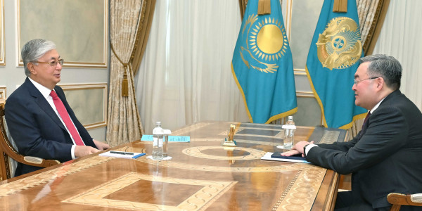 Глава государства принял вновь назначенного посла в Австрии