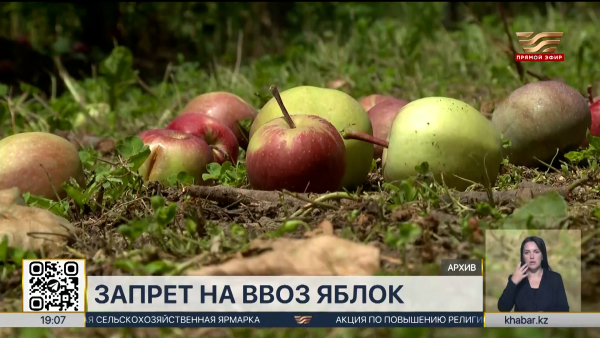Казахстан вводит временный запрет на ввоз яблок