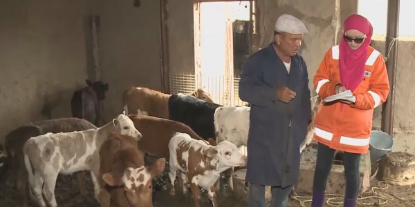 Мал дәрігерлері қағазбастылықтан босатылады