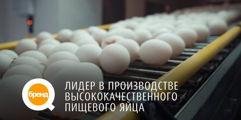 «Q-бренд». Лидер в производстве высококачественного пищевого яйца