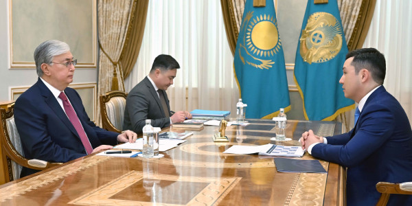 Глава государства принял управляющего Международным финансовым центром &laquo;Астана&raquo; Рената Бектурова