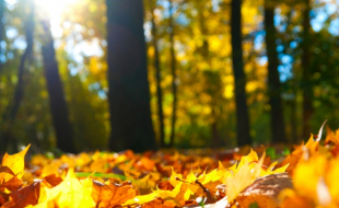 Погода без осадков сохранится на большей части Казахстана