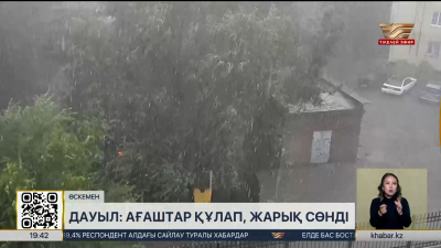 Өскемендегі қатты дауылдан ағаштар құлады