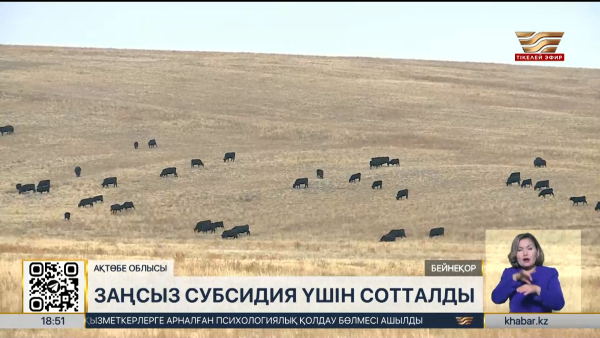 Ақтөбе облысында ₸91 млн субсидияны жымқырған кооператив басшысы сотталды