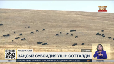 Ақтөбе облысында ₸91 млн субсидияны жымқырған кооператив басшысы сотталды
